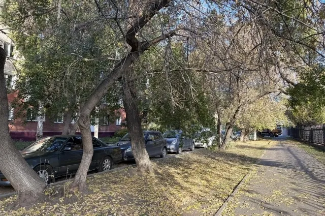 В Омске к 1 ноября установят оборудование для платных парковок