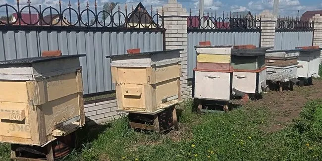 В Омской области пестициды нашли в 7% исследованных проб